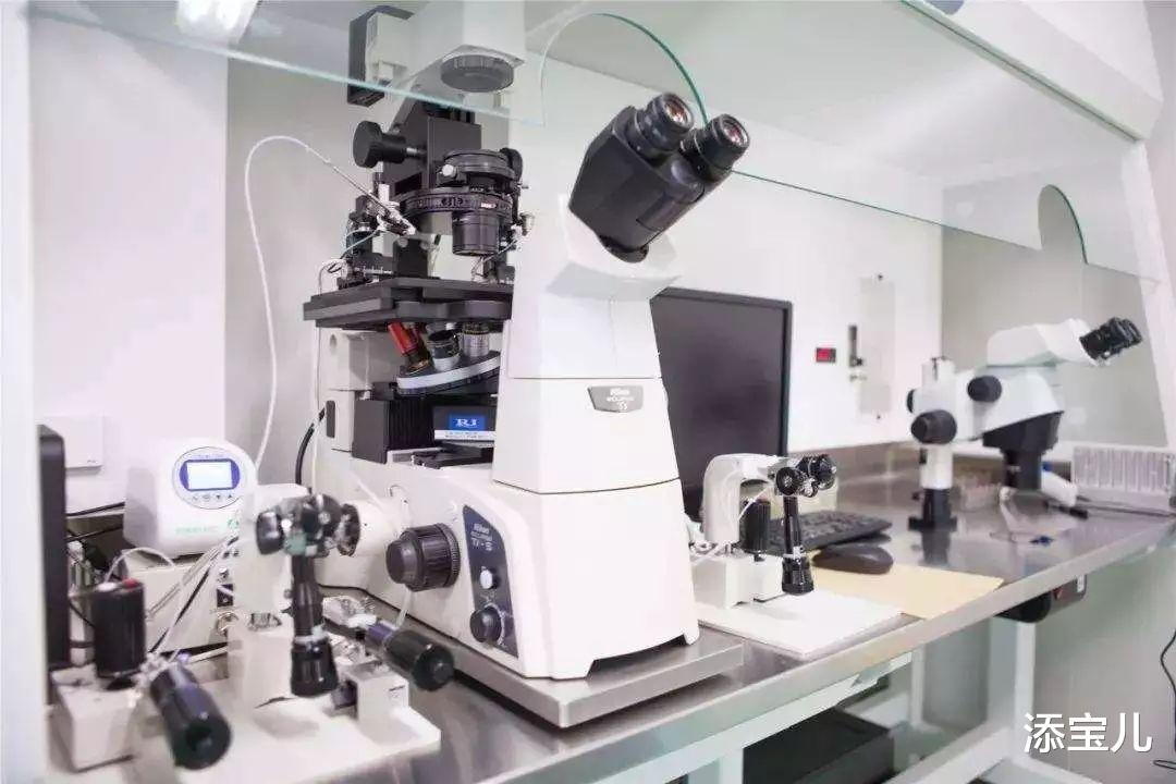 添宝儿|通过穿刺取出的精子做试管婴儿是否安全?