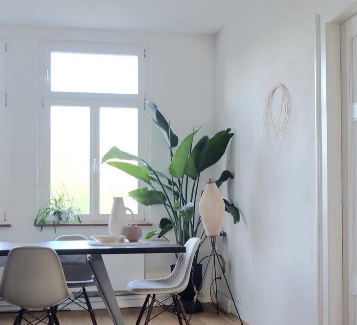 德国女主,用低成本布置出最朴实的精致感,网友:越简单,越幸福