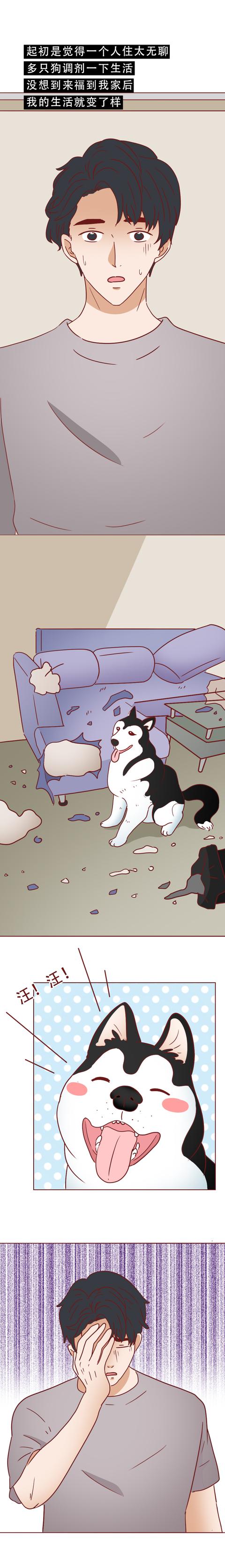 女孩|一只捡来的猫，给了抑郁症女孩第2次生命，有时兽性比人性强