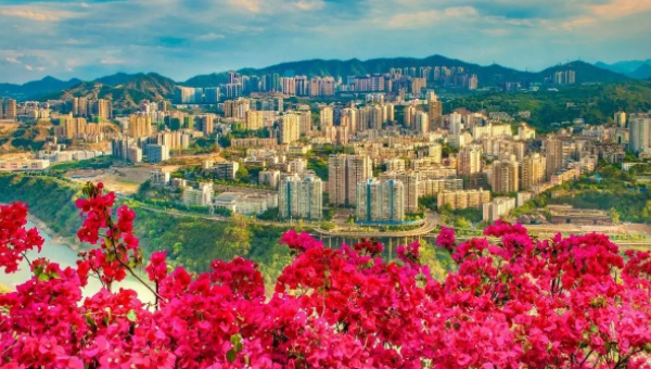 萌听小c姐|四川宜居胜地攀枝花，冬暖夏凉，房价还不高，适合北方人养老