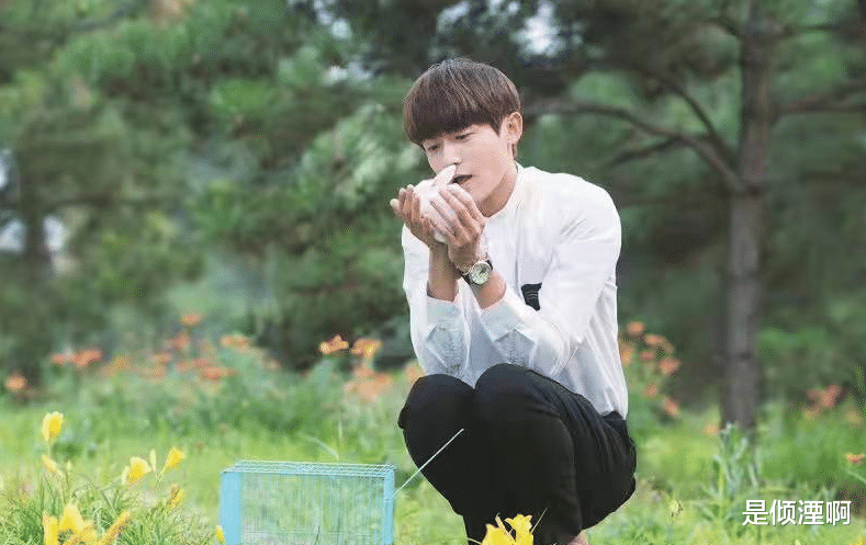 漫画家|五竹叔携甜宠剧上线，直球漫画家追爱霸总，女主和张芷溪没法比！