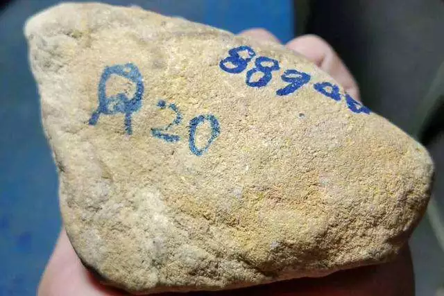 翡翠|土豪20万买下翡翠原石，开出极品帝王绿，价值飙升百万不是梦！