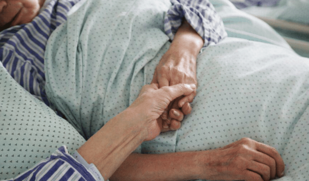 金兰中医学社|六旬夫妇相继确诊脑梗，医生：常吃这1种食物，或会给血管“添堵”