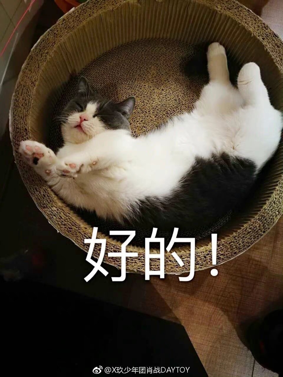 肖战|肖战给12月完美Ending！《ELLE》的开年刊、进组、商务规整到30个