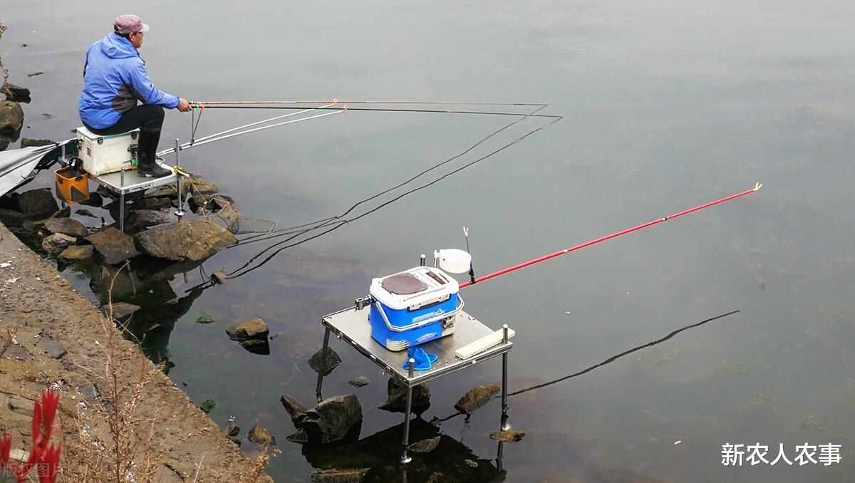 嘉陵江|四川广元:苍溪4个男子在嘉陵江里钓鱼,把警察都惊动了,咋回事