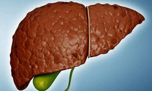 咖啡因|胡萝卜是“养肝冠军”？医生：常吃这4种食物，才是真正对肝脏好