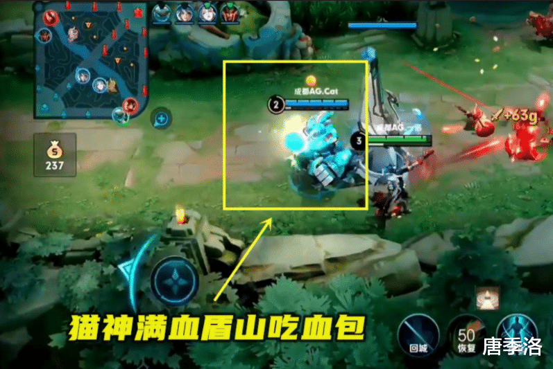 猫神|猫神：转型辅助后屡造“冥场面”，曾经的七冠中路还能站起来吗？