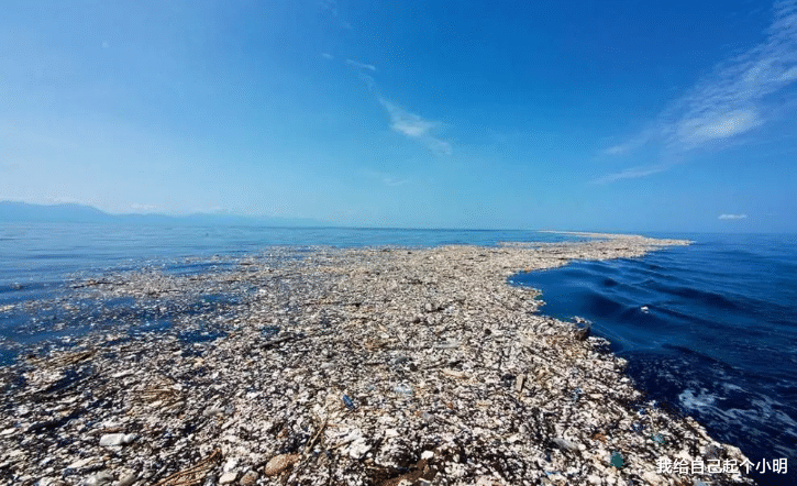  中国在3900米海底拍到了何物？多国发出警告：必须要停手了！