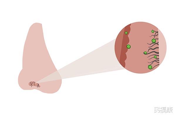 雄激素|为什么人到中年,鼻毛总往外“窜”?鼻毛长得太旺盛,是何原因?