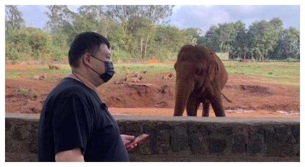 孙越|孙越深夜晒2荤1素“下酒硬菜”，遭网友调侃：您是靠实力吃胖的