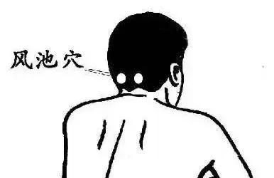 穴位|详解人体各穴位位置及功效!