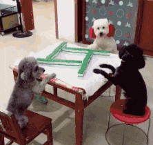 九寨沟 “在日本旅行，地铁上偶遇女神，我应该上前搭话吗？”哇哈哈哈！