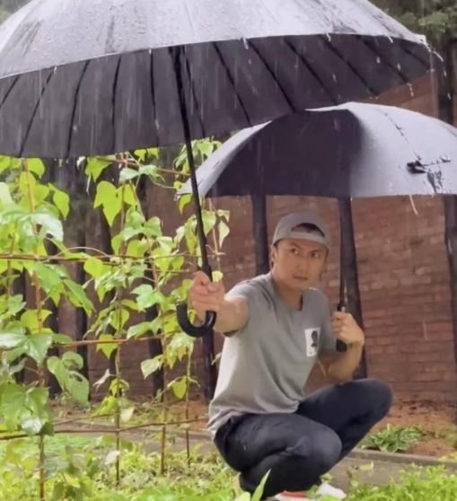 吴亦凡|谢霆锋晒王菲视角视频，暴雨中给菜地打伞被指做作：连儿子都不管