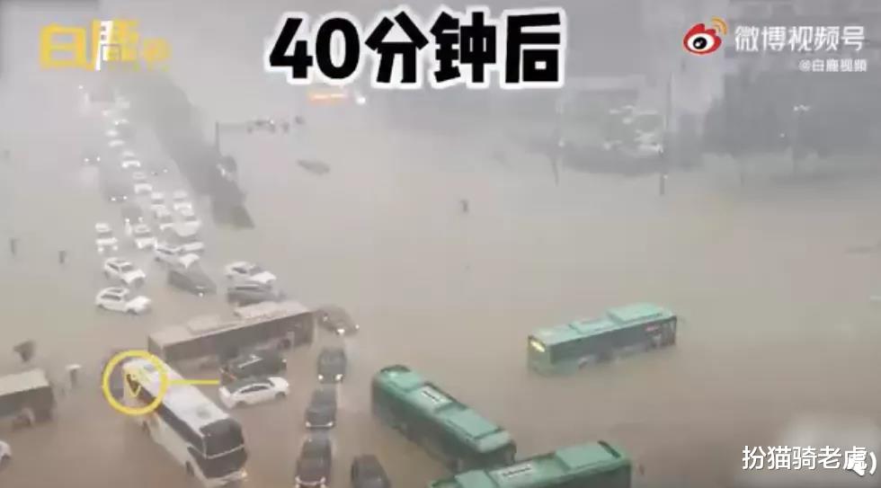 扮猫骑老虎|24小时内,450个西湖涌进郑州,我不敢看河南人的朋友圈
