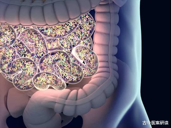香蕉|清宿便“冠军”被找到,不是香蕉,你若爱吃,肠胃一天比一天轻松