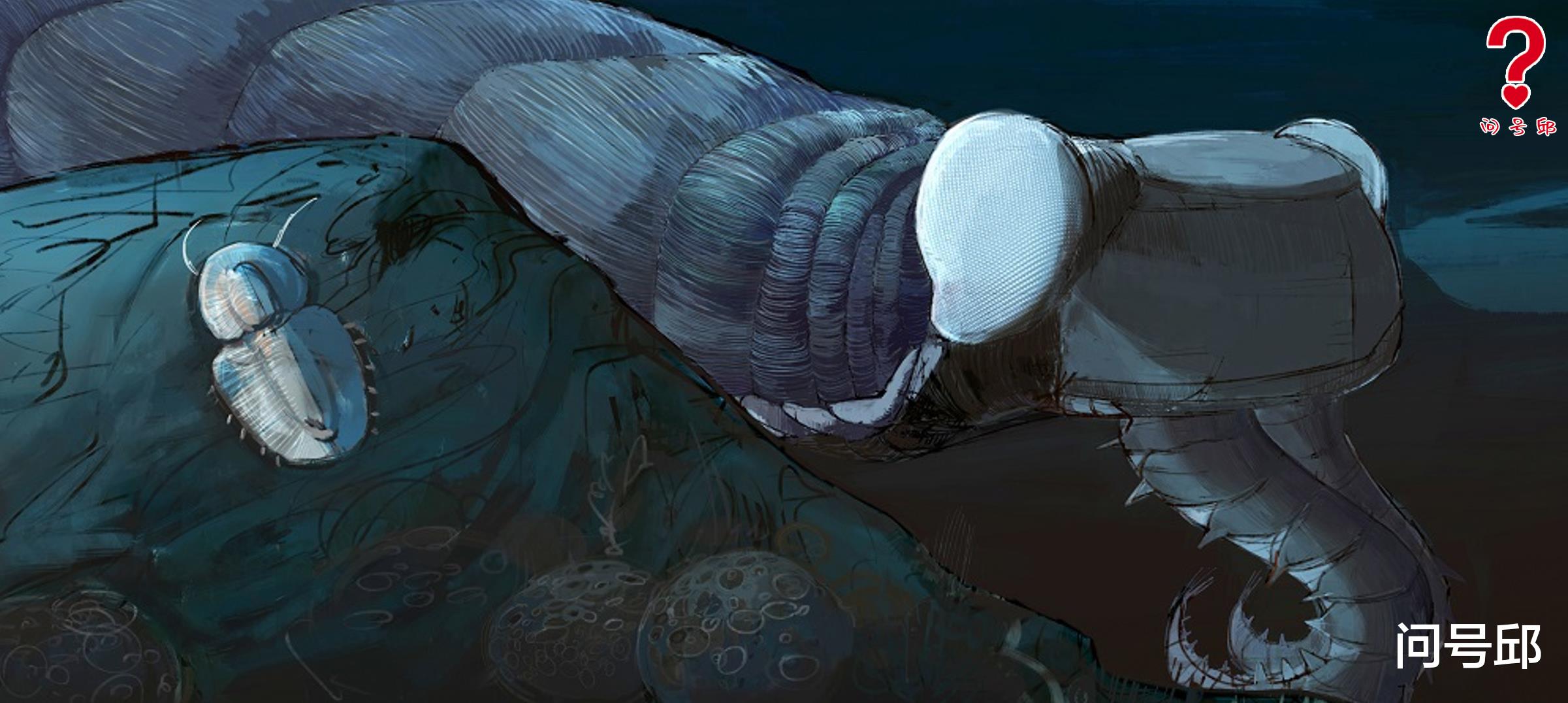 节肢动物 寒武纪生命大爆发有何依据?5.4亿年前是节肢动物的繁盛时期