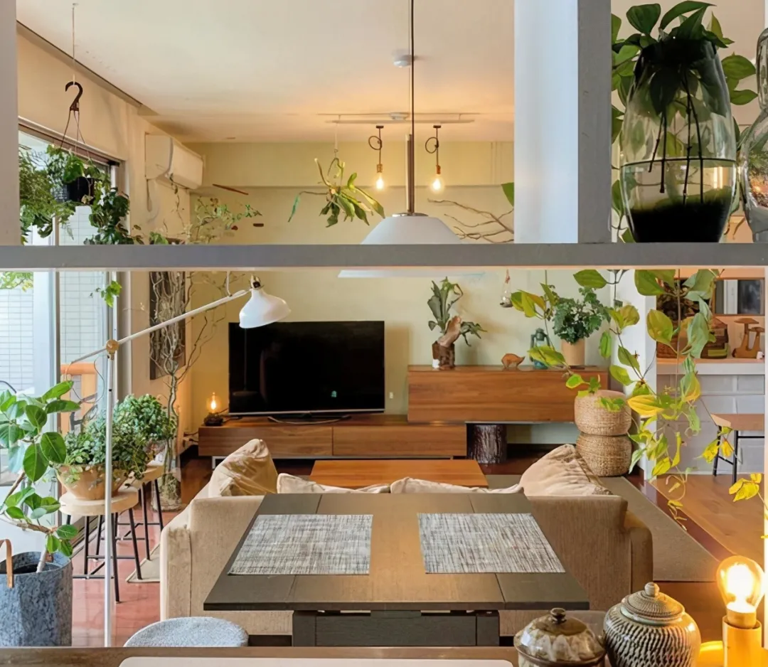 85㎡小户型新房案例，全屋用绿植点缀，清新又自然！