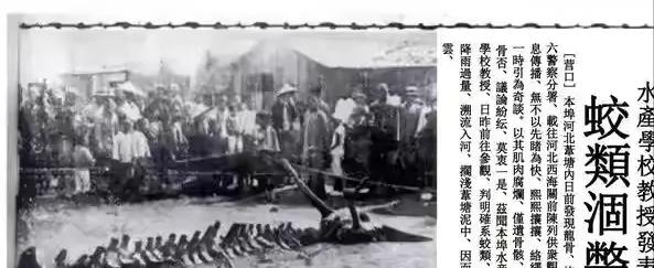 上万人目击“龙”的骸骨,我们称为龙的传人,难道不是空穴来风?