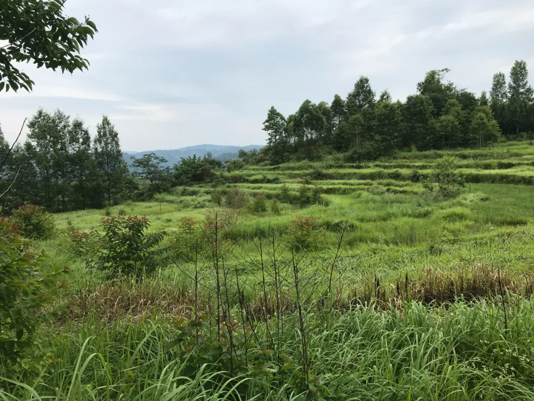 |风水寻地记，如玉盘之高山窝穴阴宅风水美地分享（多图）