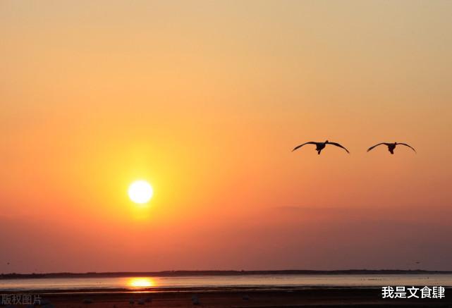 我是文食肆 坏心眼的人,都有这四个特点,留心提防