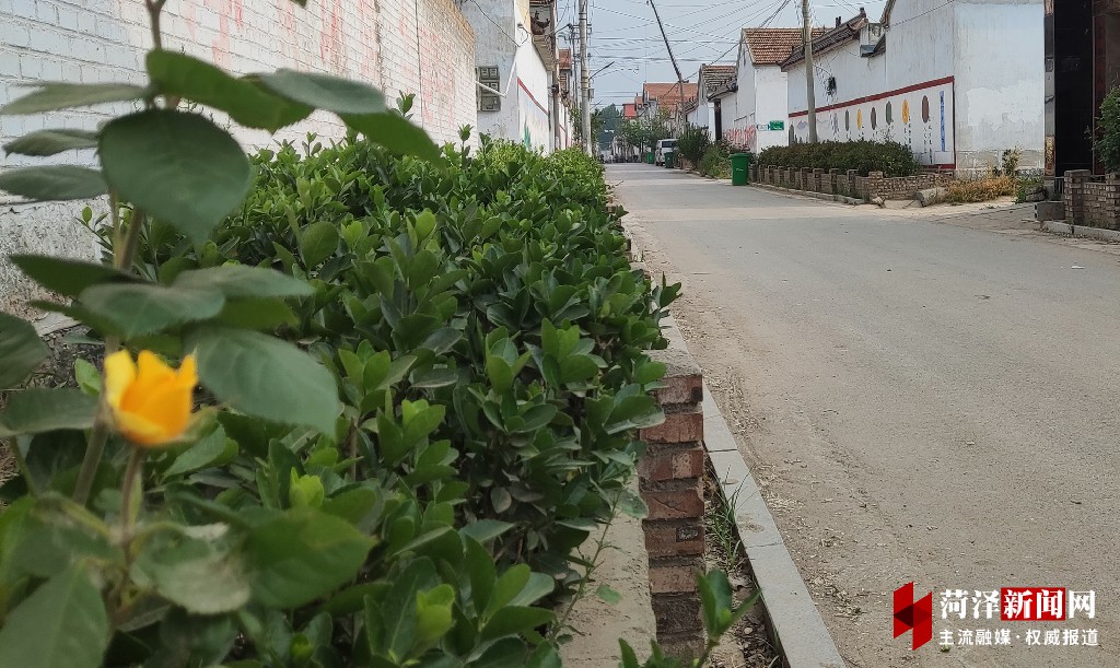 牡丹晚报 郓城县南赵楼乡甄庄村强组织促振兴侧记