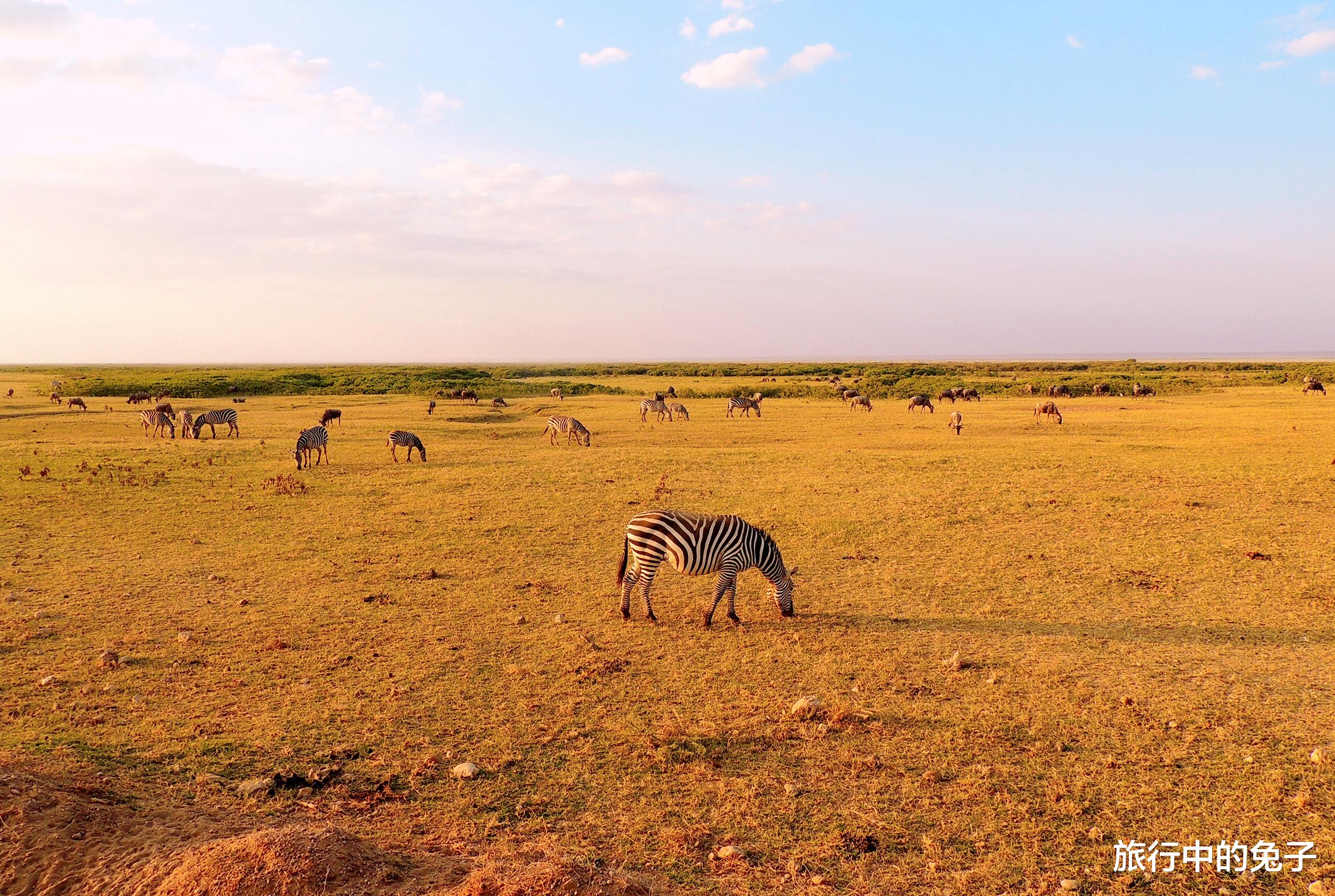 科学家 非洲“怪湖”，一夜夺走2000人生命，专家抽干后在湖底找到元凶