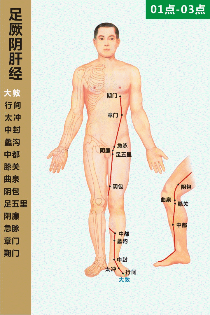 蒙蒙聊星座|肝火旺者常脾虚，中医这样调理，疏肝解郁，调理脾虚！