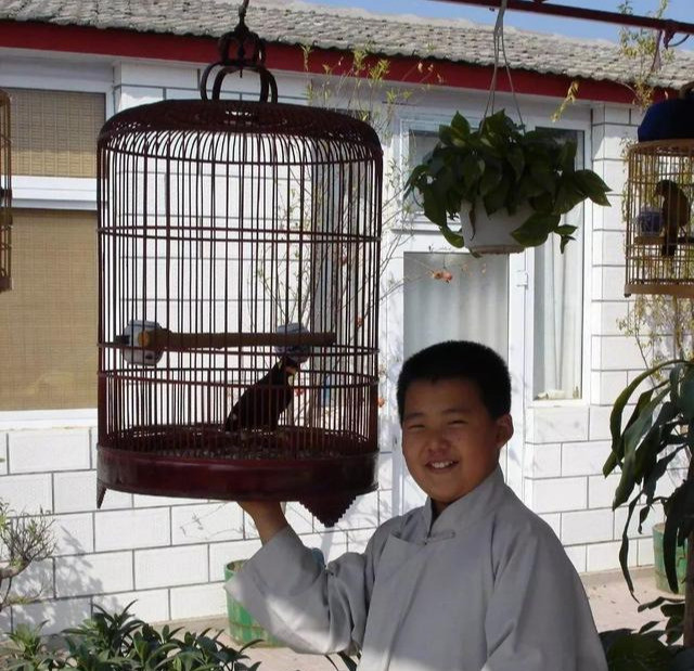 赵丽颖|同样是“德云社少东”，把郭麒麟和郭汾玚放在一起看，差距就来了