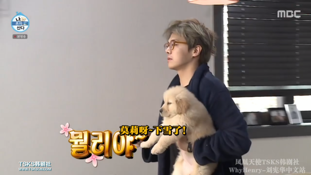 henry|豆瓣9.0，国内有钱也拍不出这样的综艺