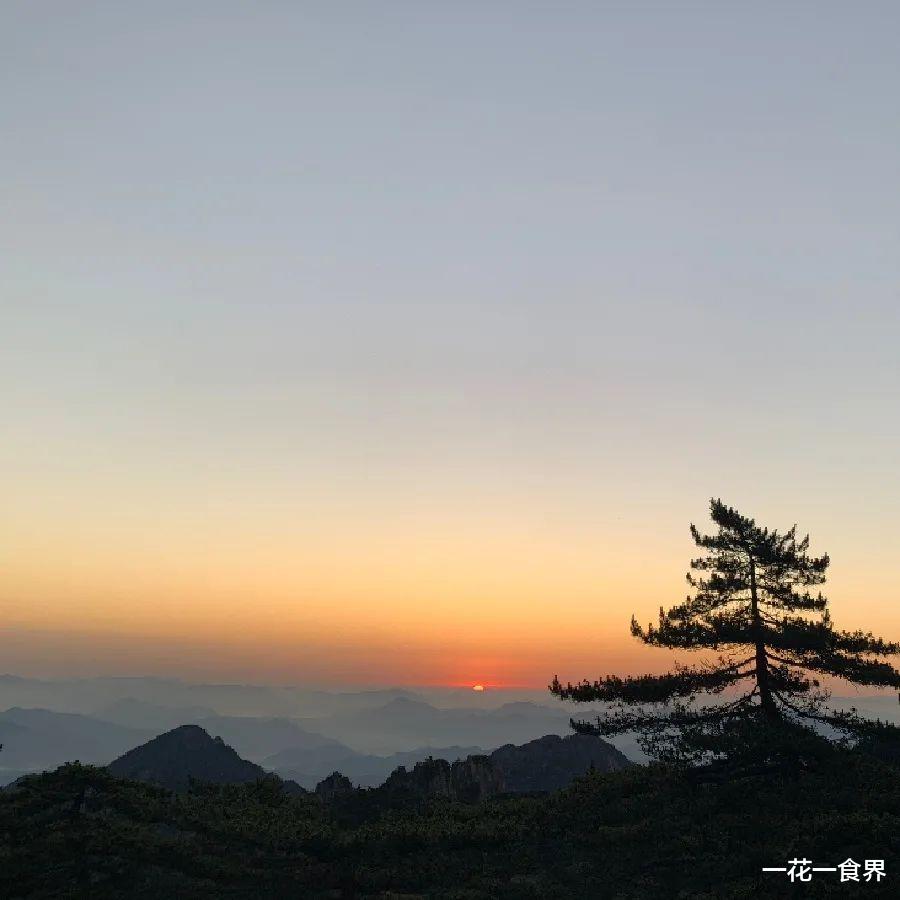 一花一食界|如果你想去黄山，那就看看吧~（上）