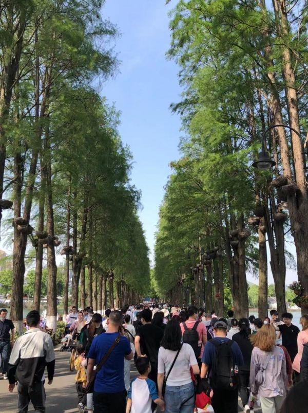长江日报 防疫到位，东湖安全有序接待八方来客