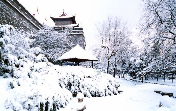 |有趣的思维小故事，激活大脑，让思维得到有效训练