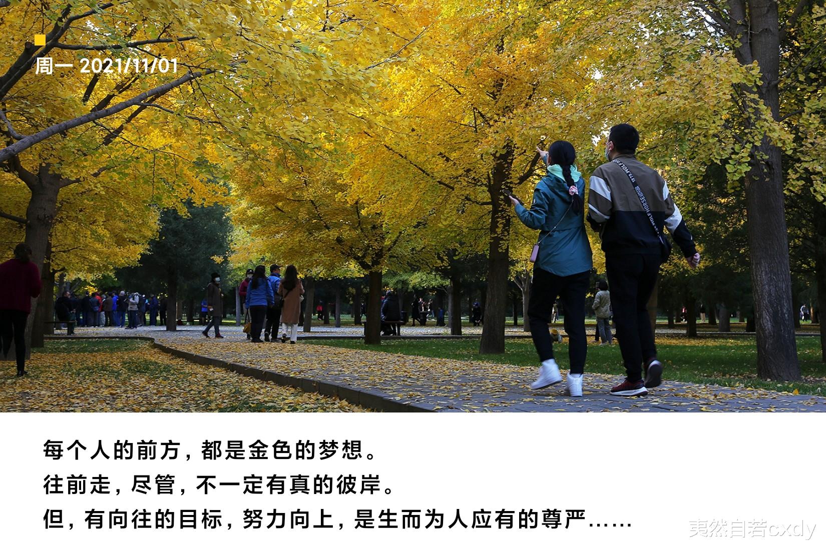 夷然自若cxdy 2021年的秋天，我只争朝夕