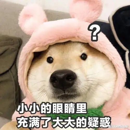 重庆购物狂论坛 新放假通知来了！这次不调休，连休三天