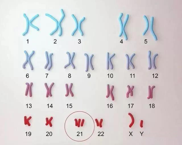 LOV好孕|LOV生殖：有没有想过，为什么你的娃会长得像你？?