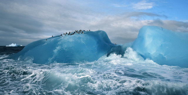 南极 能够养活上亿人的南极磷虾，为何会被人类争抢？这两个方面是重点