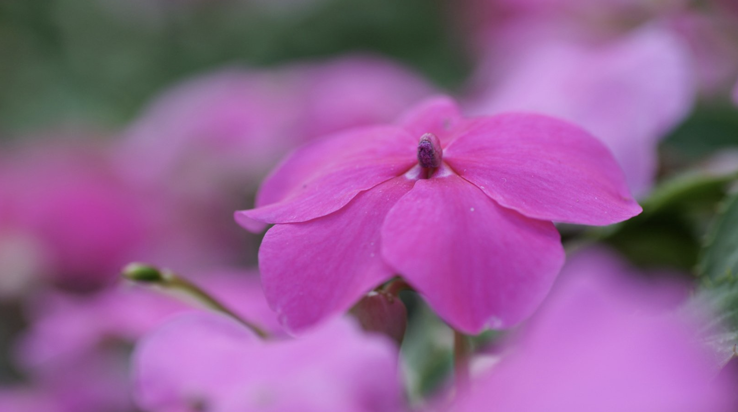 生肖夜梦|9月下旬,左手揽财,右手囤财,3生肖会赚钱,会存钱,生活富足有余