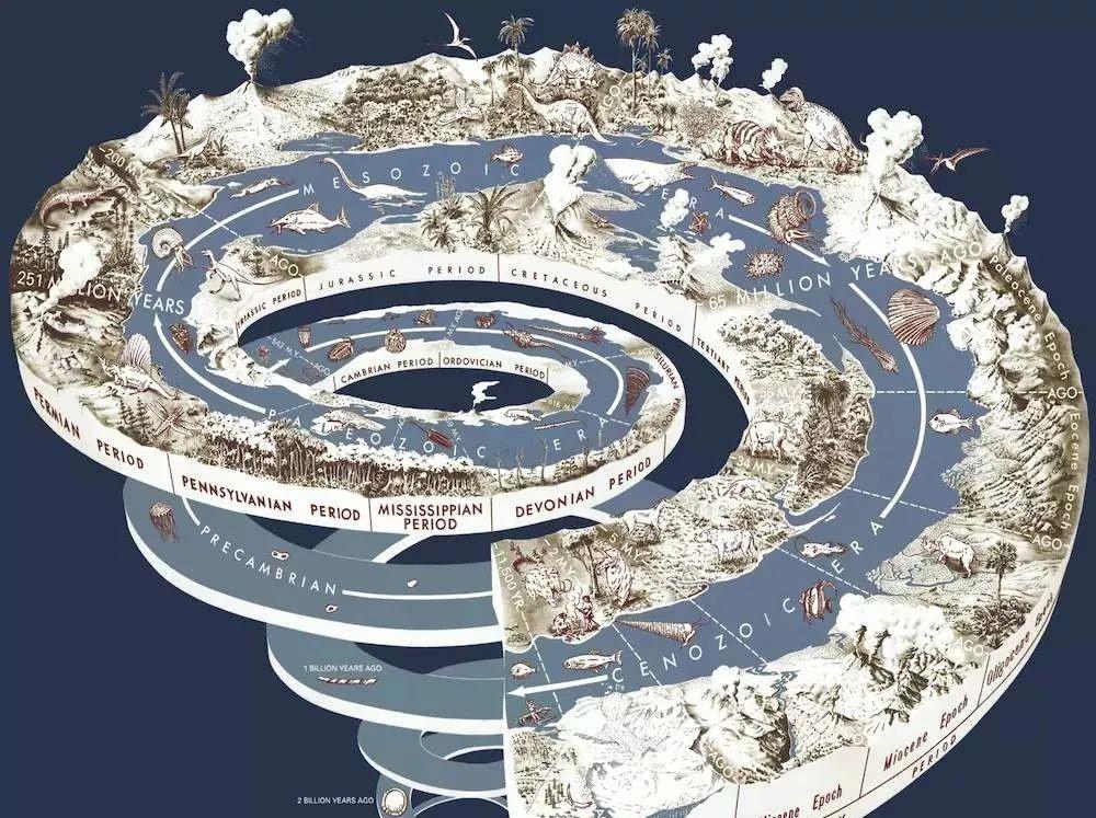  乌龟是如何成为科学家们的“噩梦”的？堪称进化论的终极BUG
