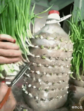 书尽心生|搞笑GIF：这娃娃太厉害了，上一秒还那么精神，下一秒说睡就睡！