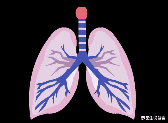 医生|吃一次等同于吃5斤生芋头，医生：肺部的“黄金伴侣”是它，可多吃