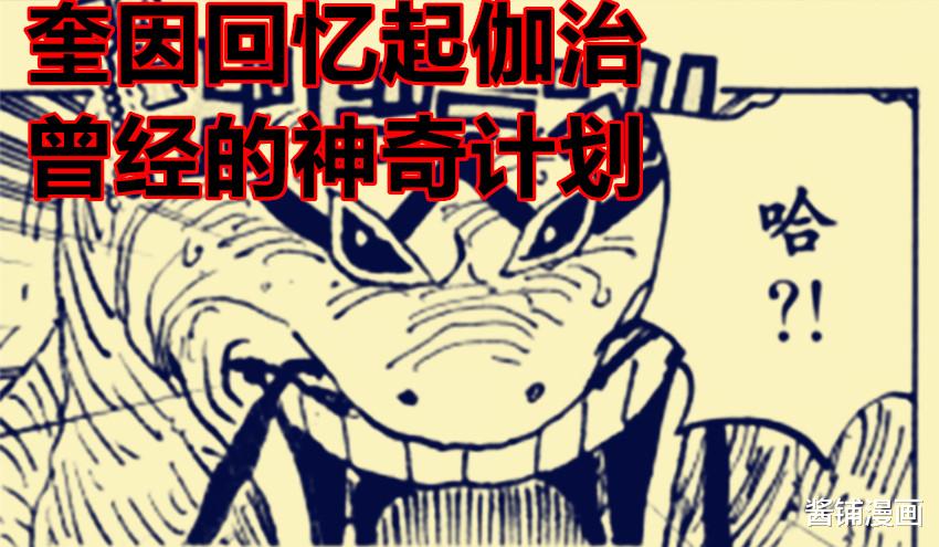 奎因|海贼王1029话，基拉轻松击败霍金斯，奎因解答伽治早年的隐匿计划