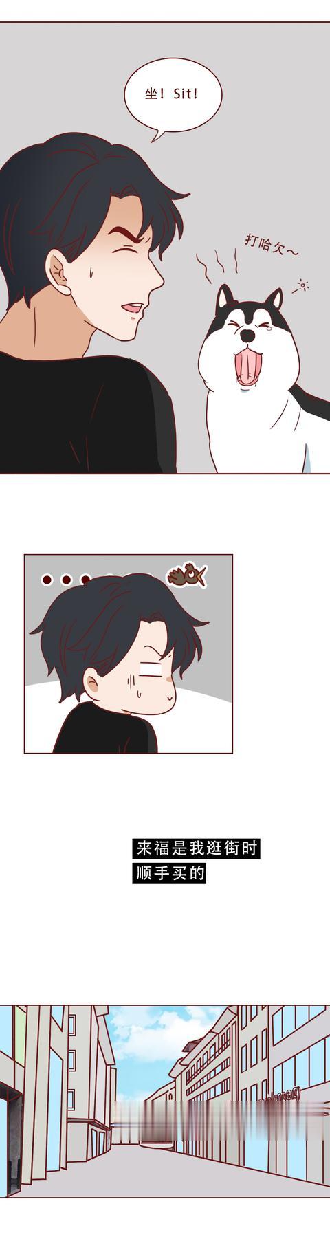 女孩|一只捡来的猫，给了抑郁症女孩第2次生命，有时兽性比人性强