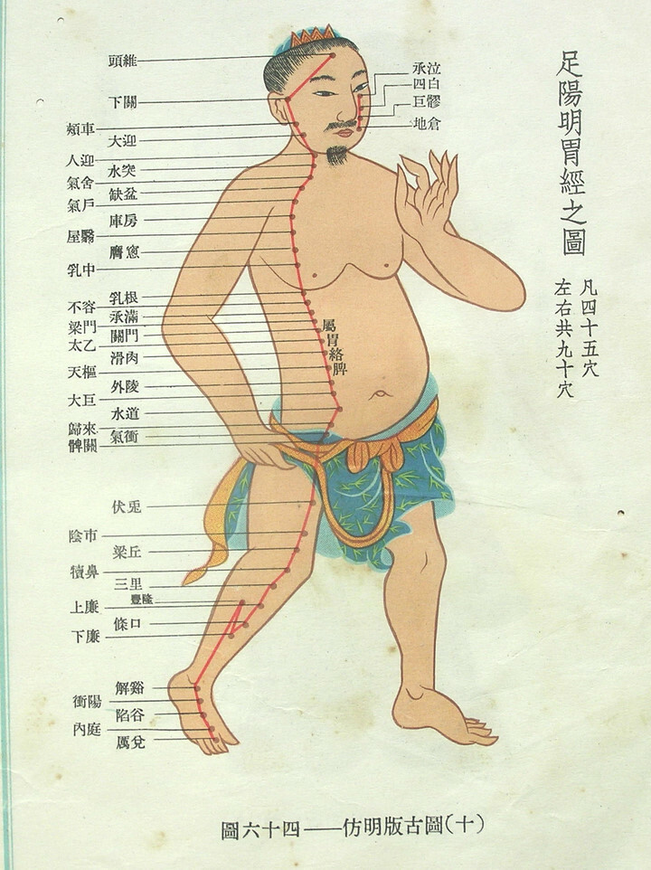 传人释读太极拳|习练太极拳与经络学说的关系