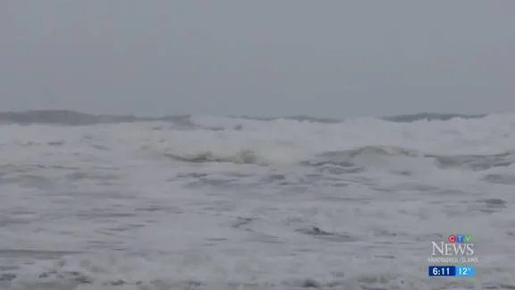 加拿大|完蛋! 加拿大109个集装箱落海 衣服鞋子家具全泡水! 华人老板哭晕！