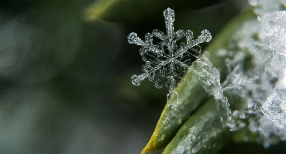 全球变暖 再次向人类敲响警钟!南非传来坏消息,地球或会进入大降温时期?