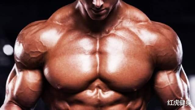 脂肪肝|经常健身的你,是小白还是精英?快来看看5大项的力量标准