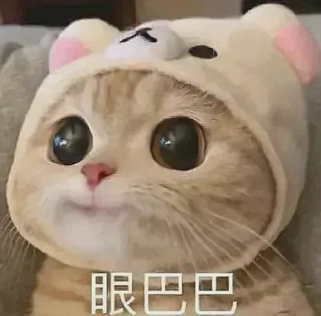 |89㎡竟然4房改1房,两人两猫的极乐世界,就是这么任性!