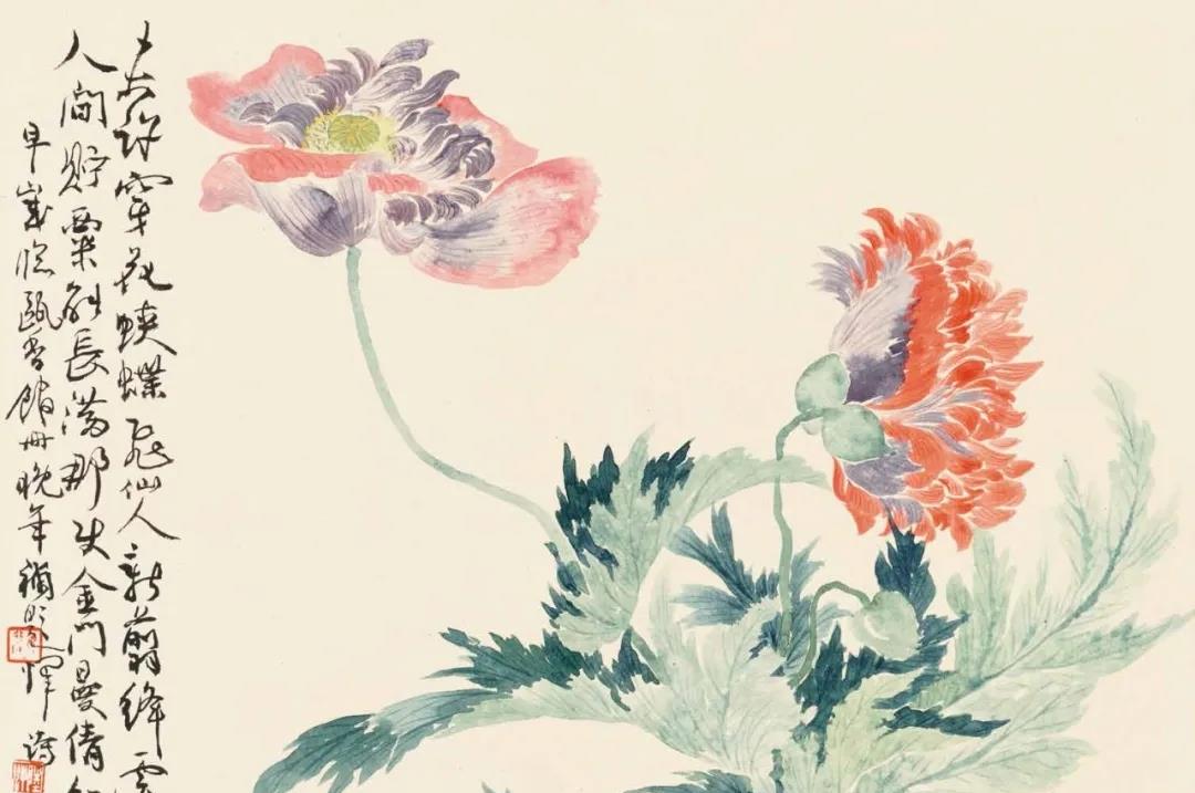 兰瑾轩学艺 花卉怎么画？不如跟着陆抑非的花卉课稿学习吧