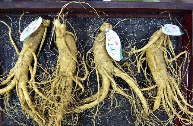 更年期|提醒：查出身体有结节后，这4种食物建议列为“发物”，尽量忌口