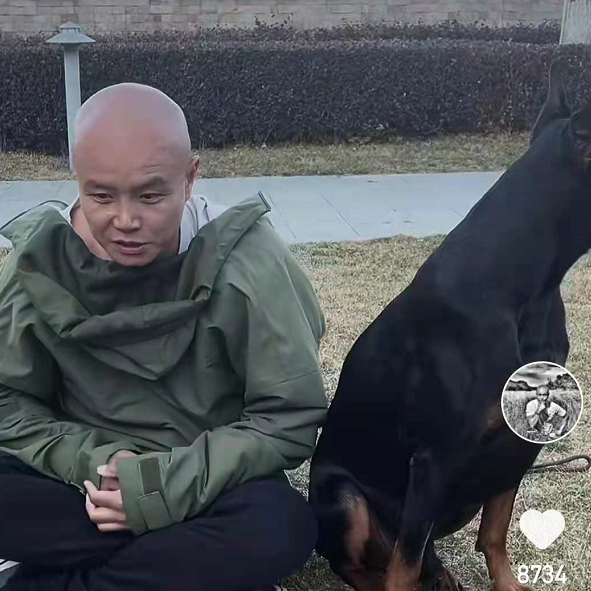 乐嘉|从金牌主持人到街头卖艺？乐嘉出家为僧后，养2万宠物，开百万豪车